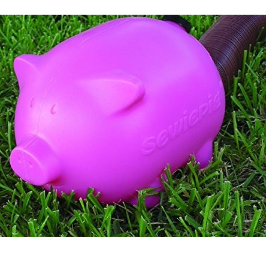 SEWIE PIG, E49 Enterpr E49-PW-001 - Image 2