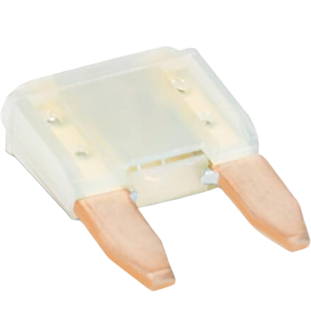 2 Amp Mini Fuse Dometic