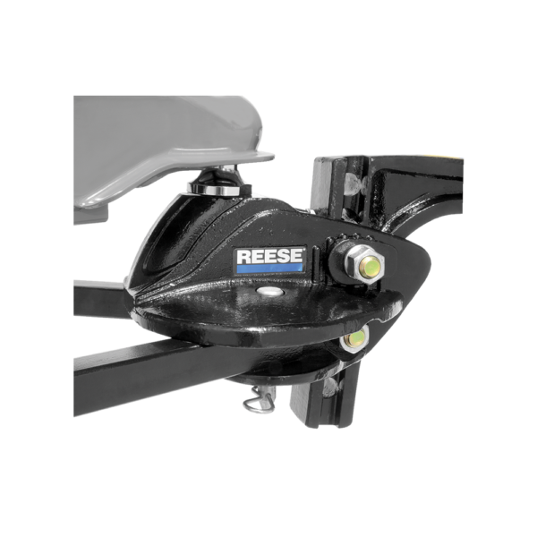 Reese 1000 pound STEADi-FLEX Weight Distributing Kit w/Shank 66559