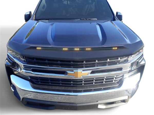 Lighted Bug Shield, Auto Ventshade, 753168