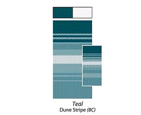 9 Foot 10 Inch Teal Campout Awning, Carfreee 981188C00